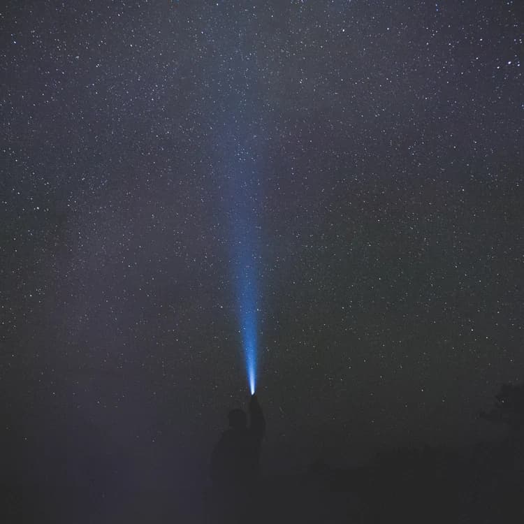 imagine the stars